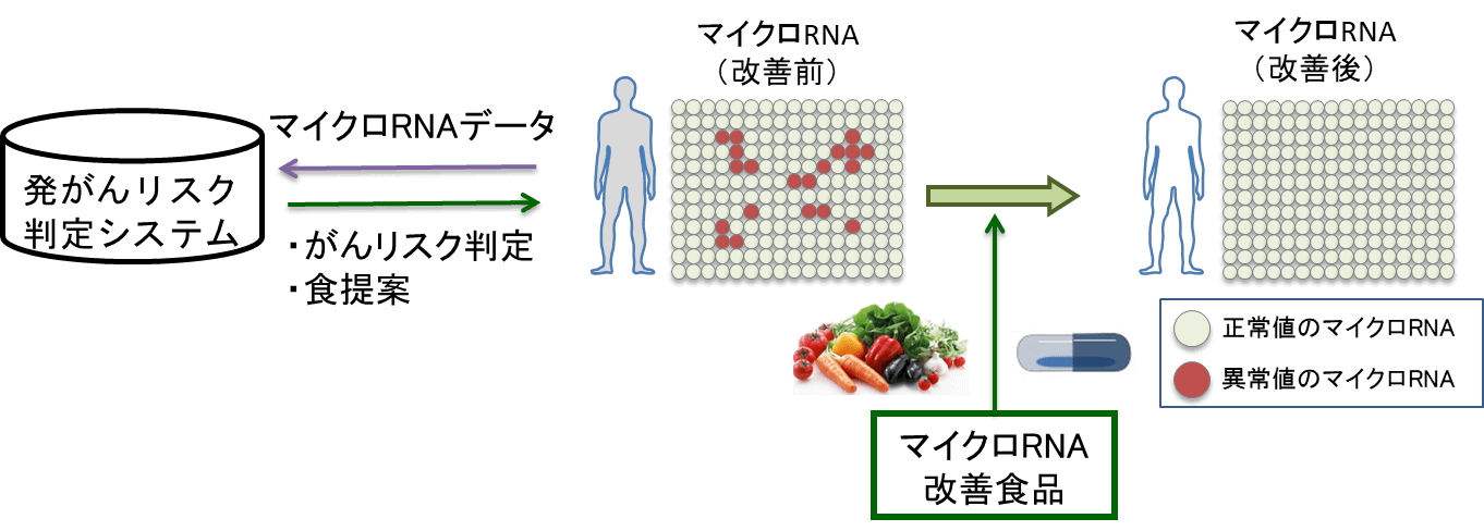 ■AIを活用した食生活改善はガンのリスク低減にもつながる｜人工知能を搭載した製品・サービスの比較一覧・導入活用事例・資料請求が無料でできるAIポータルメディア