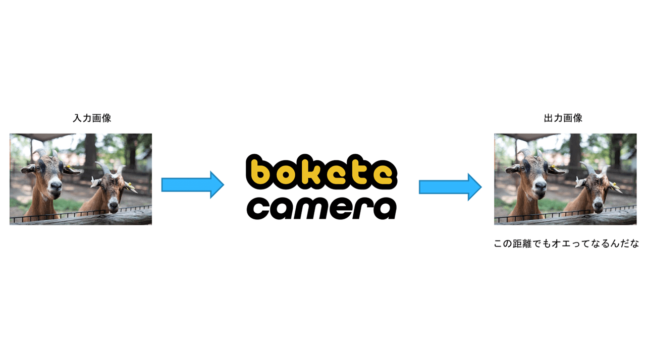 AIが写真で一言ボケる！？「bokete camera」電通デジタルとオモロキ社