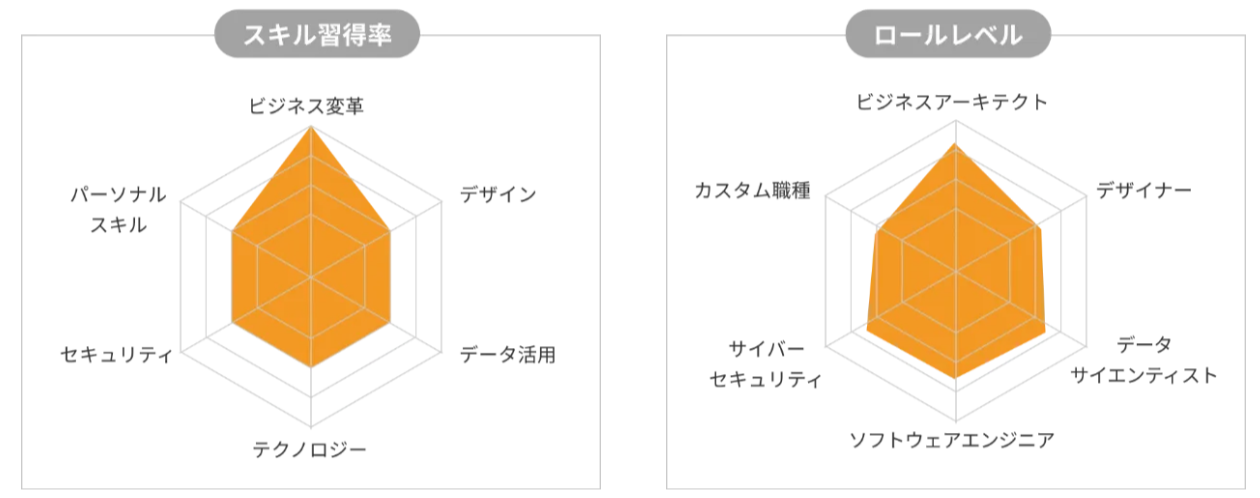 アセスメント評価結果画像