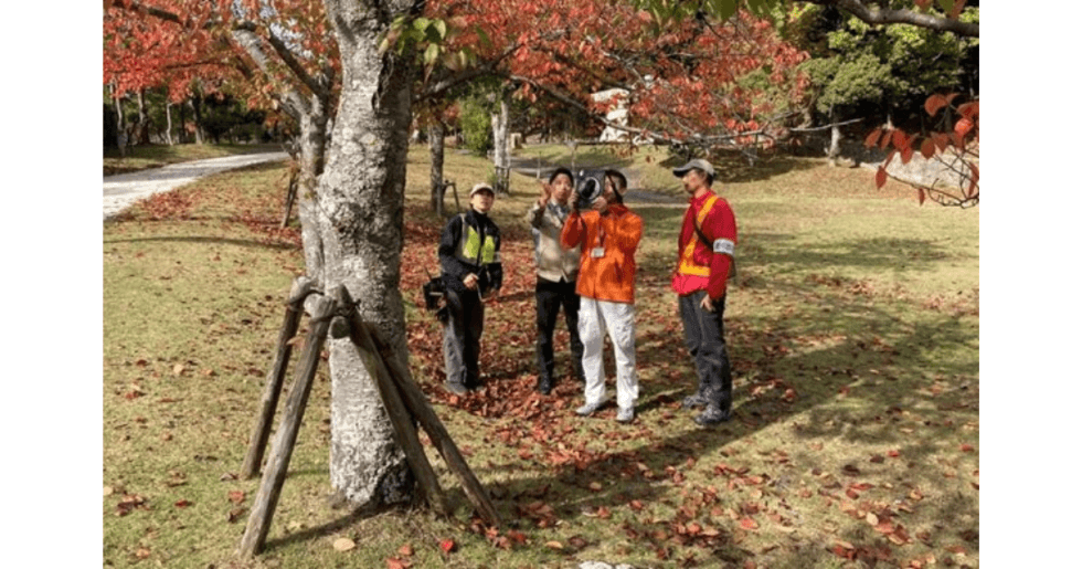 Treeai 三井住友建設、AIが倒木・落枝リスクを自動判定する「tree AI」の基本システム開発を完了