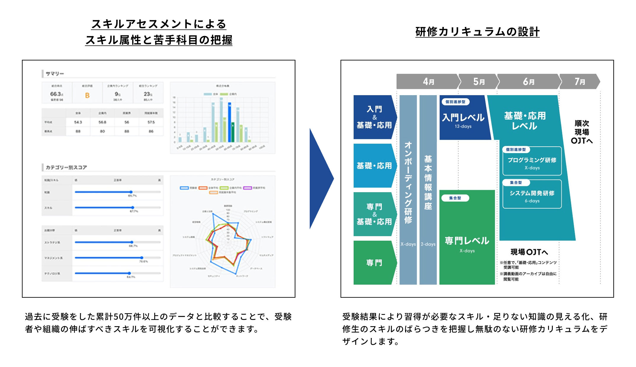 スキルアセスメントによる
スキル属性と苦手科目の把握